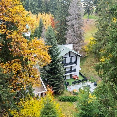 Family Treez Premium Apartments Poiana Brasov Esterno foto
